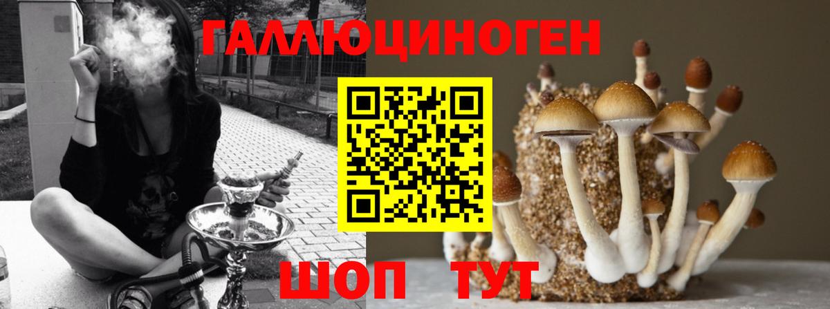 Псилоцибиновые грибы прущие грибы  Вход с VPN  Ефремов 